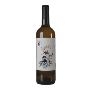 haut de riquets