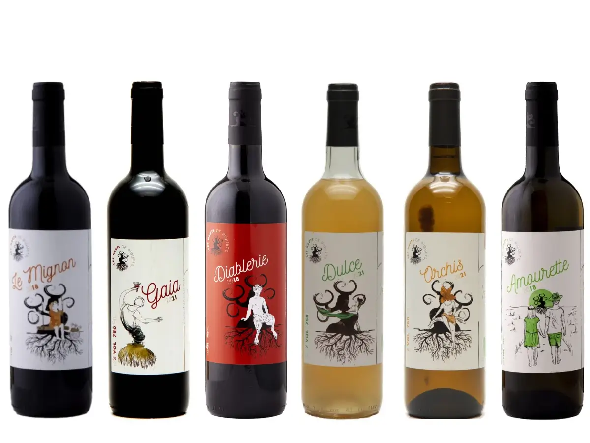 Haut de riquets smagekasse - Biodynamisk naturvin fra Frankrig