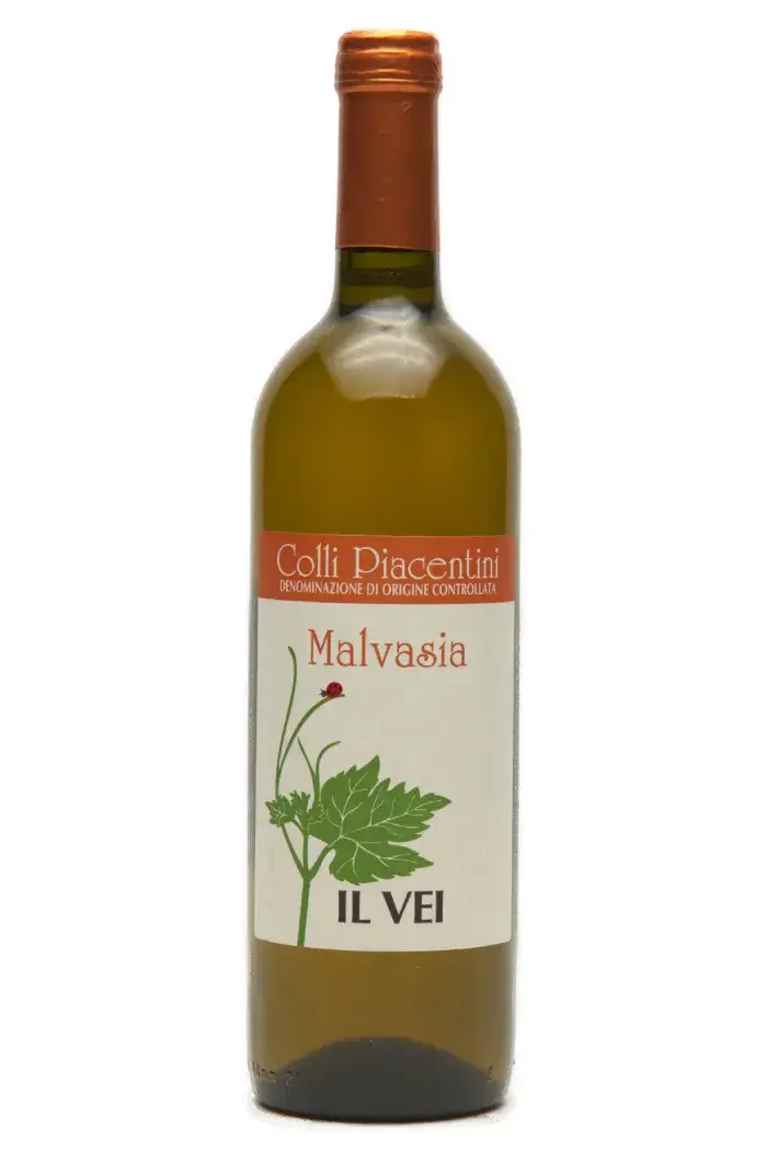 Malvasia - Naturvin hvidvin fra Italien - Køb din naturvin i København