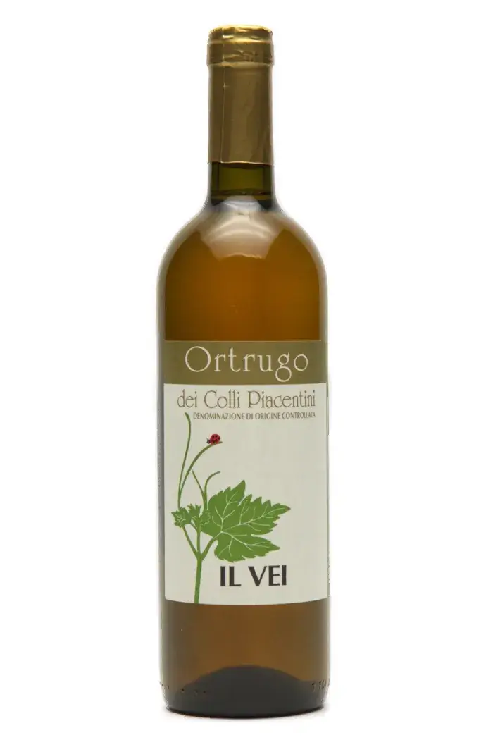 Ortrugo - Orange naturvin fra Italien - Køb din naturvin i København