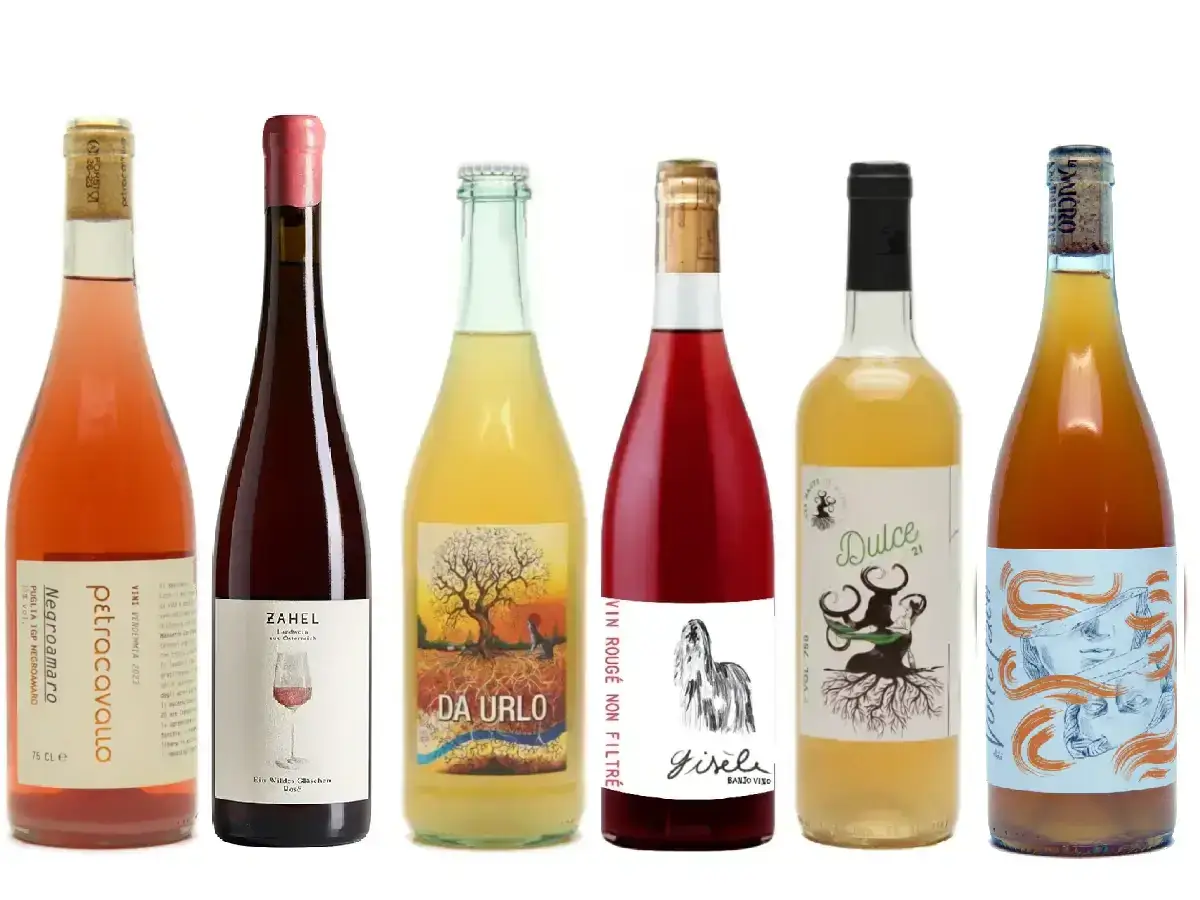 Naturvin smagekasse med farverige naturvine - Prøv seks forskellige farverige naturvine!