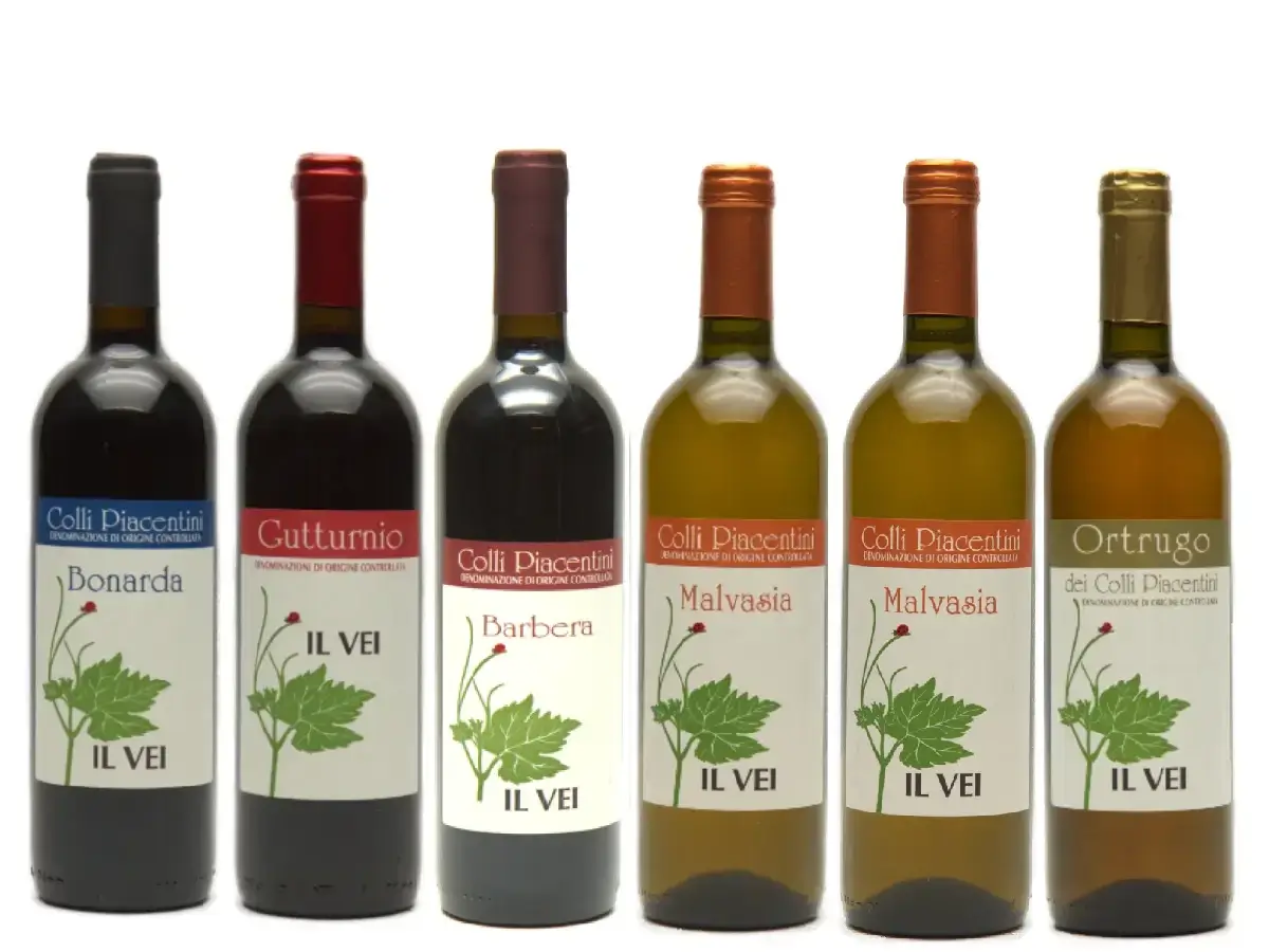 Il vei italiensk naturvin smagekasse med orange naturvin, rødvin naturvin og hvidvin naturvin