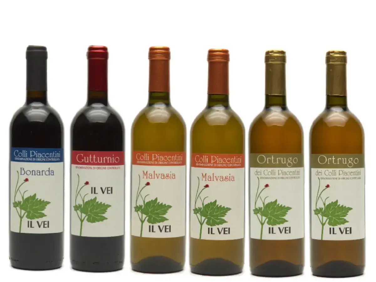 Italiensk naturvin smagekasse med orange naturvin, rødvin naturvin og hvidvin naturvin