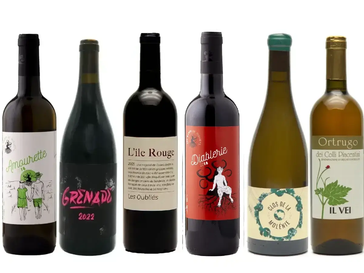 Fra Classic to Funky naturvin smagekasse: 6 forskellige natur vine! Hent din naturvin på Nørrebro - altid naturvin på tilbud!