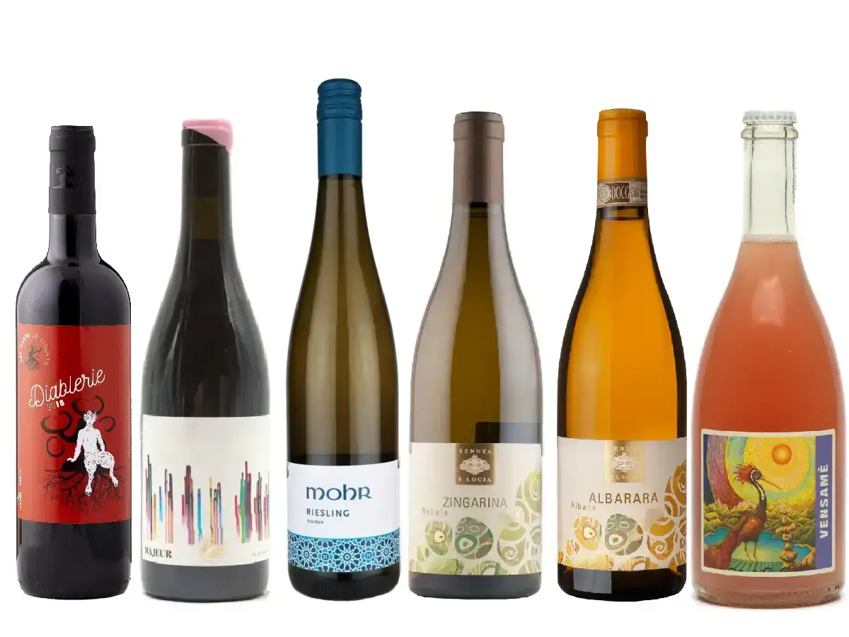 Starter box naturvin smagekasse - start med naturvin her!