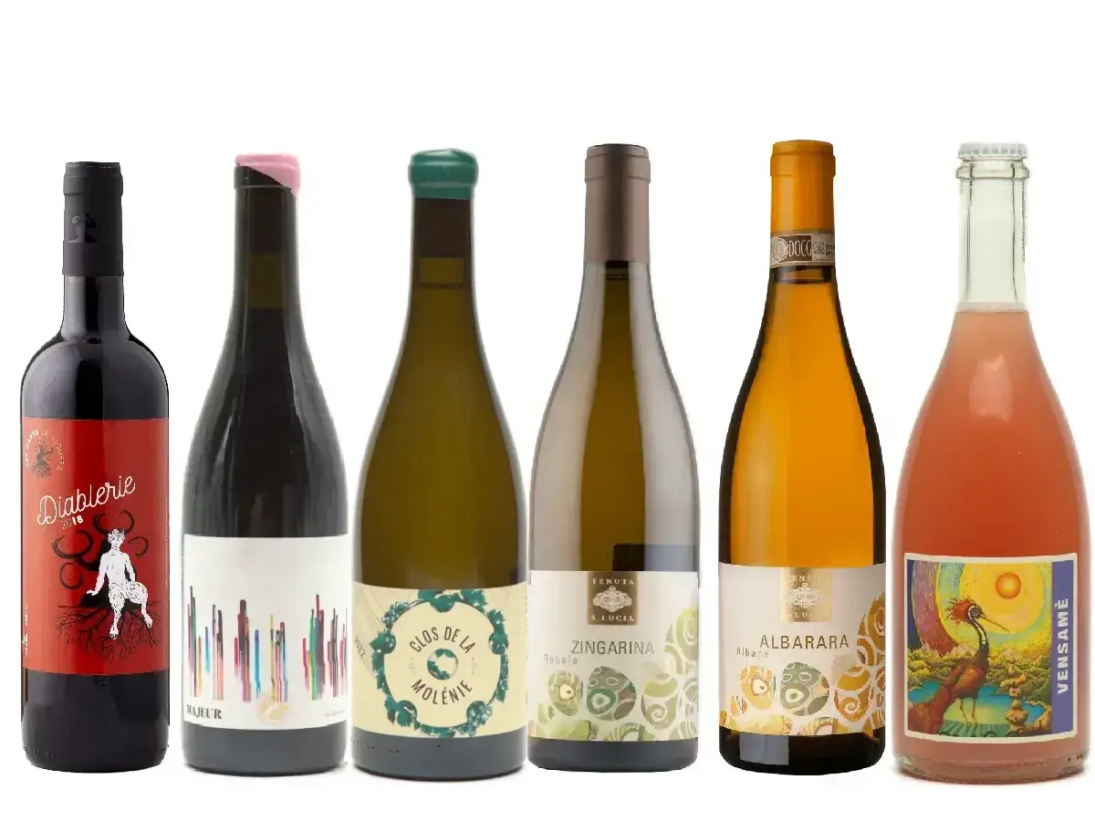 Starter box naturvin smagekasse - start med naturvin her!