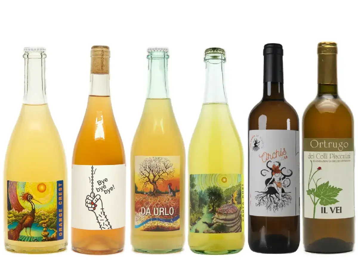Din første orangevin smagekasse: Orangevin til begyndere!