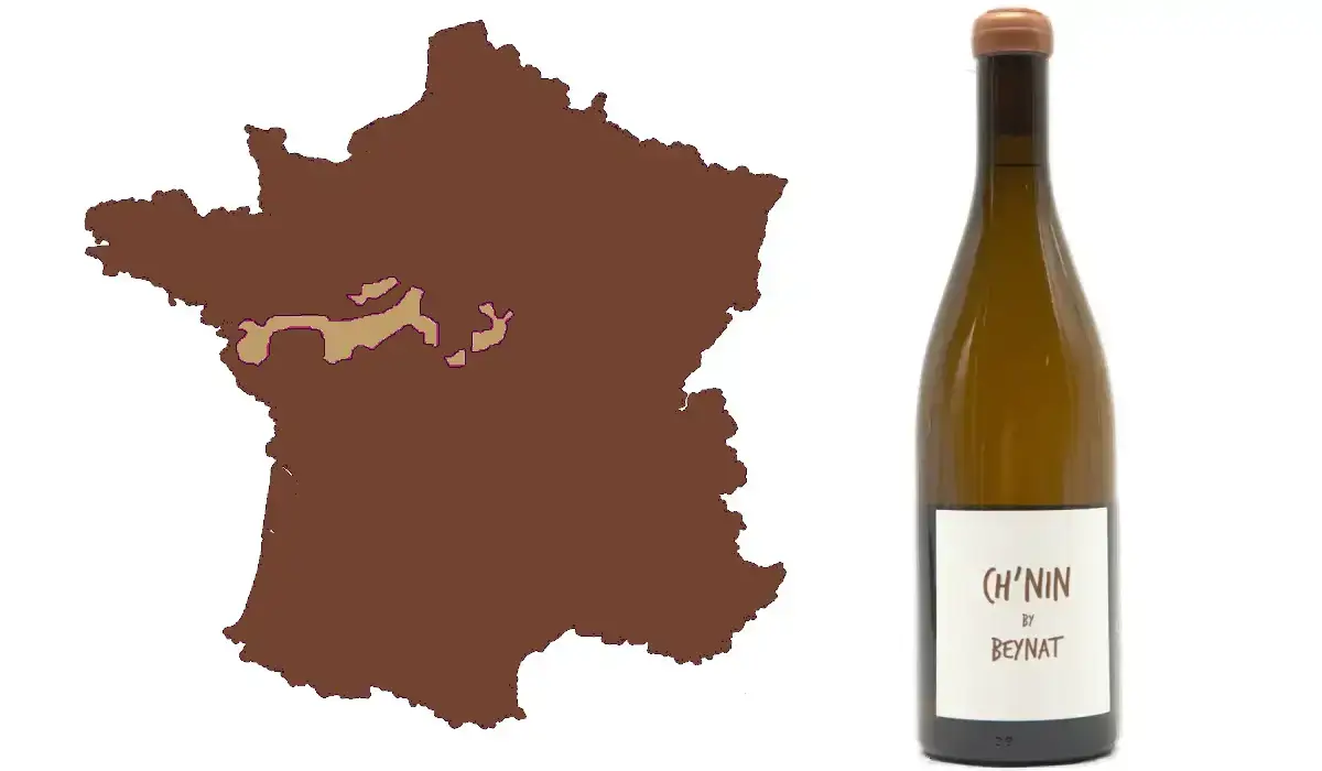 Chenin Blanc - lær om druen!