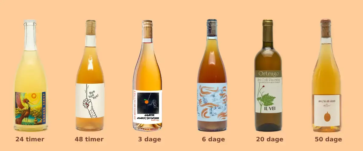 Den bedste orangevin? Hvordan vælger jeg? Læs vores guide her til hvordan du vælger den bedste orangevin!
