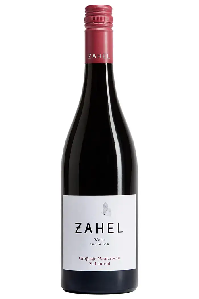 Großlage Maurerberg St. Laurent 2023 - Zahel laver biodymanisk vin fra Østrig