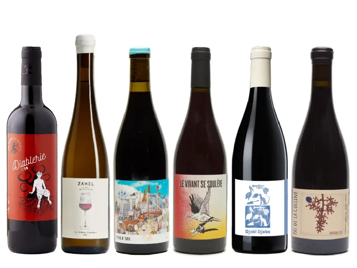 Vilde røde smagekasse: Tag med på en kompromisløs rejse gennem naturvin og dens kraftfulde præg, hvor hver af de seks rødvine er udvalgt med kærlighed for sit unikke, vilde udtryk.